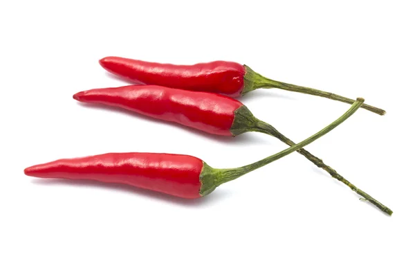 Red Chilli — Stock Photo, Image