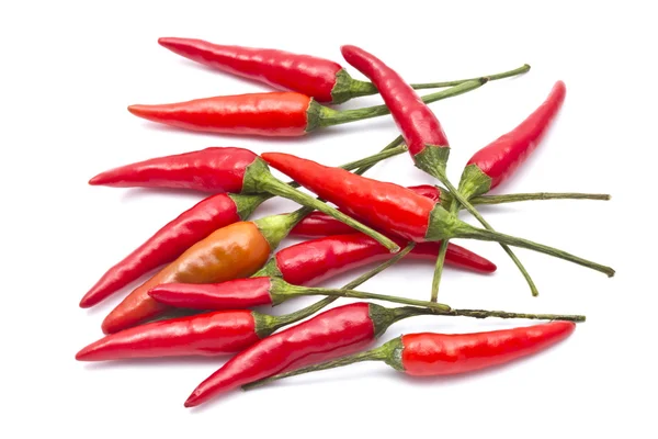 Rote Chilischote — Stockfoto