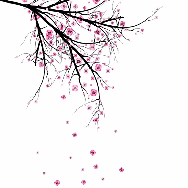 Blossom Cherry — Stock Vector