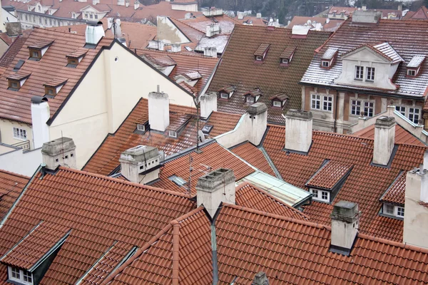 Červené střechy budov v Praze — Stock fotografie