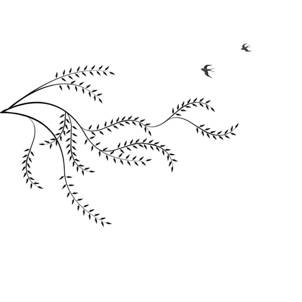 Willow ve kuşlar dalı — Stok Vektör