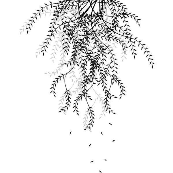 Філії willow — стоковий вектор