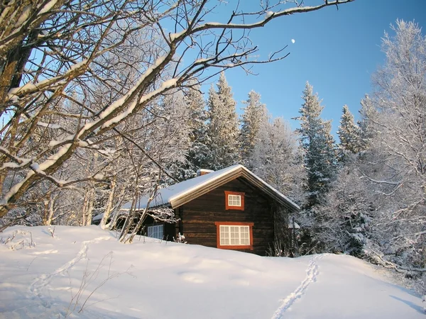Vinterlandskap Royaltyfria Stockfoton