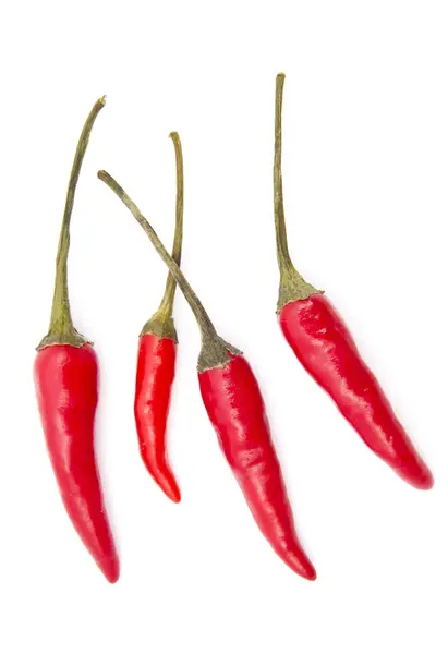 Čerstvá červená chilli — Stock fotografie