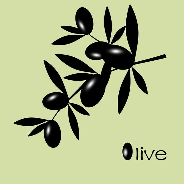 Black Olive — Stock Vector