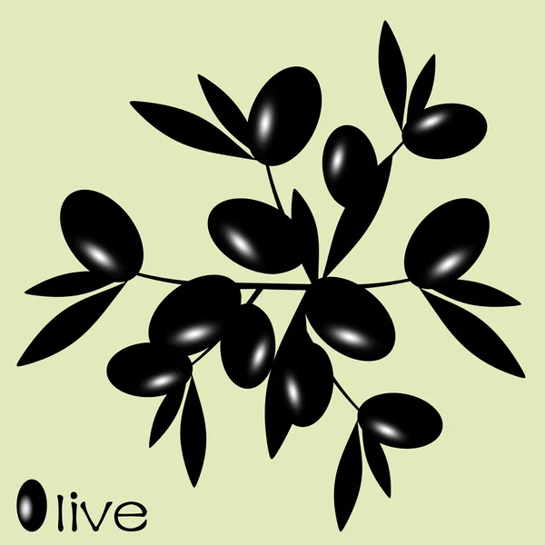 Svart oliv — Stock vektor