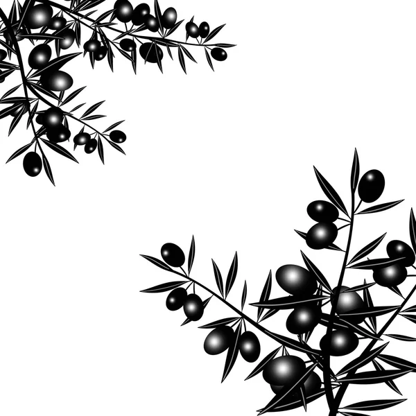 Silhouet van zwarte olive branch — Stockvector