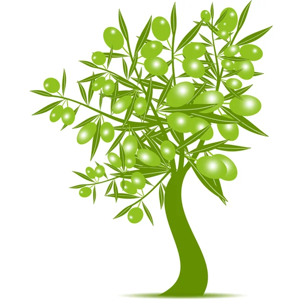 Зеленое оливковое дерево — стоковый вектор
