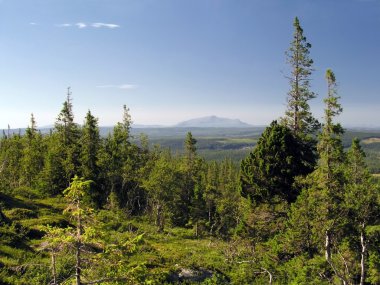 güzel dağ manzarası