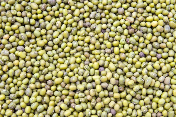 stock image Mung Bean