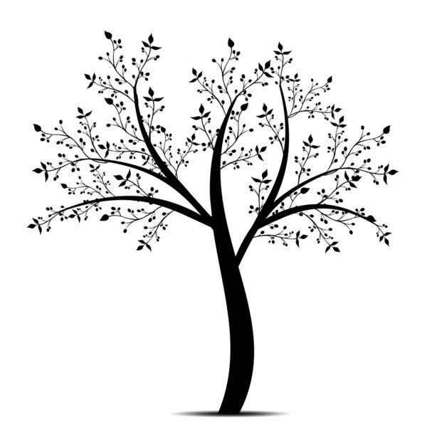 橄榄树 — 图库矢量图片