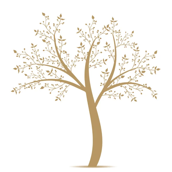 Оливковое дерево — стоковый вектор