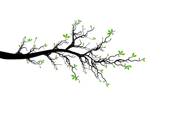 Ramo da árvore de primavera — Vetor de Stock