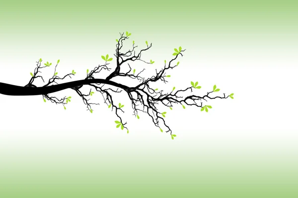 Branche d'arbre de printemps — Image vectorielle