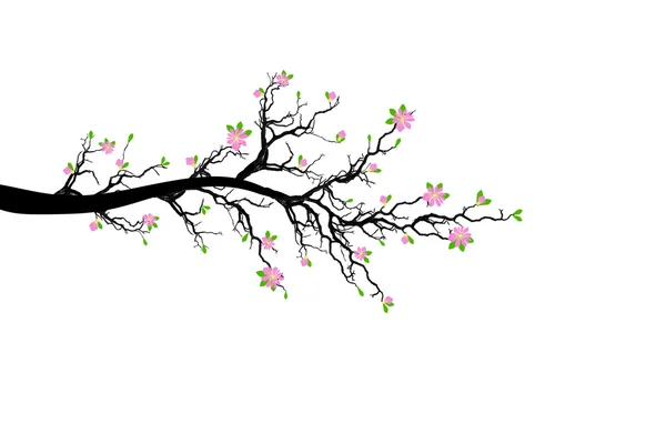 Rama del árbol de primavera — Vector de stock