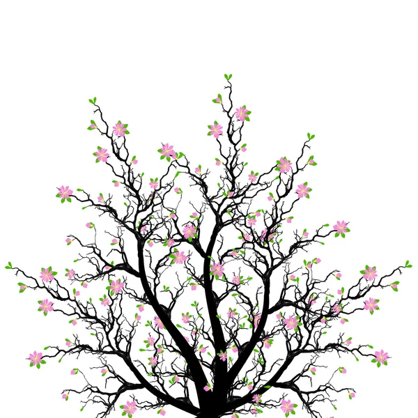 Jarní Kvetoucí strom — Stockový vektor