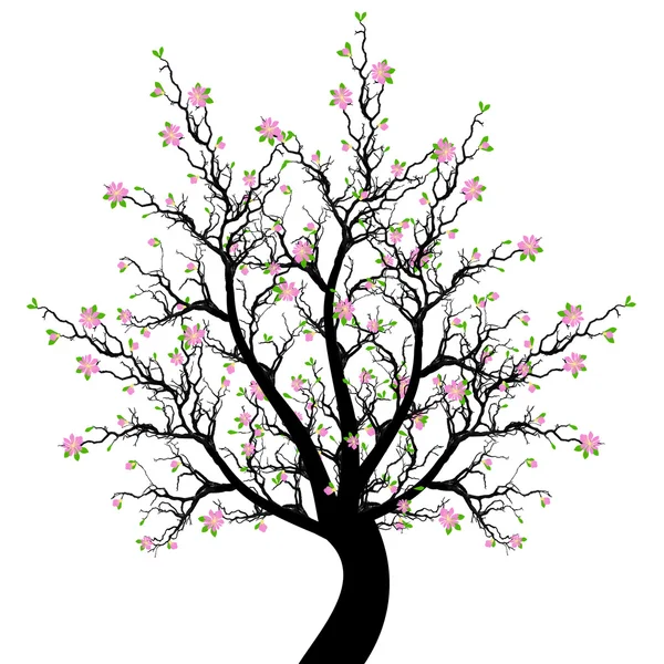 Frühlingsblütenbaum — Stockvektor