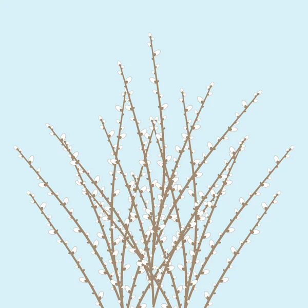 봄 버들 나뭇가지 — 스톡 벡터