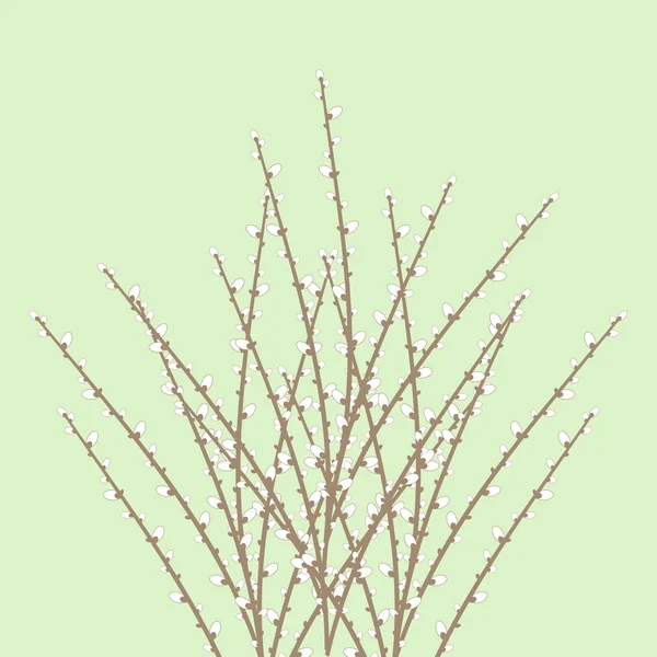 Jarní větvičky vrby — Stockový vektor