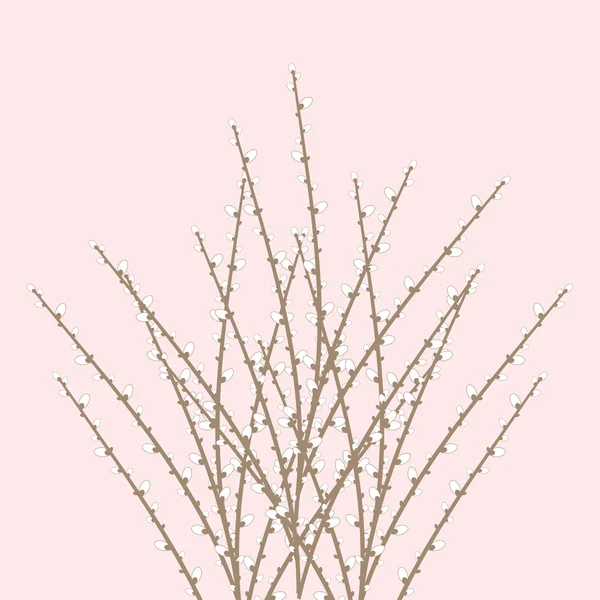 春柳树枝 — 图库矢量图片