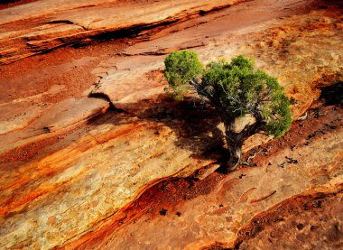 Arches national park peyzaj