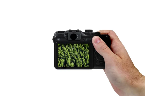 Sostener la cámara Tomando fotos de árboles — Foto de Stock