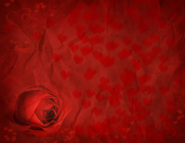 Valentinky růže — Stock fotografie