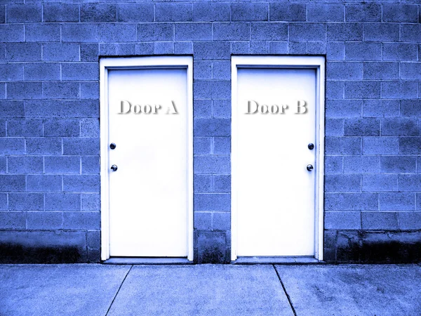 Two Doors Representing Choices