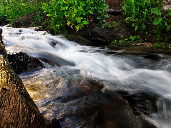 Mountain creek strumień płynie — Zdjęcie stockowe