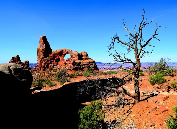 Landskap i arches national park — Stockfoto