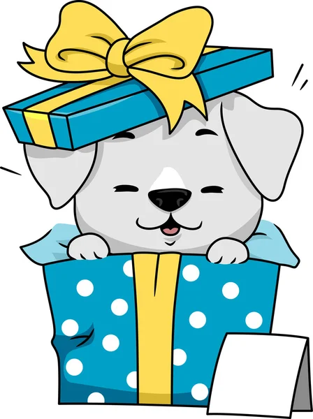 Dog Gift — Stock Photo, Image