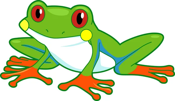雨林青蛙 — 图库照片