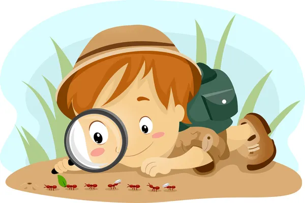 Ребенок наблюдает за муравьями — стоковое фото