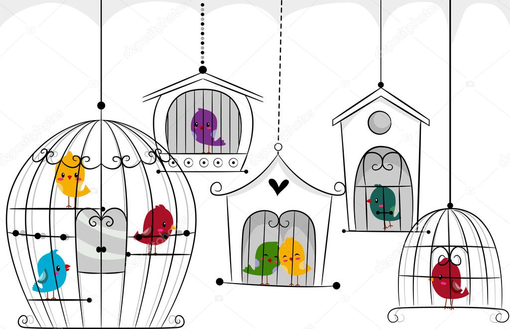 Birds in Cages