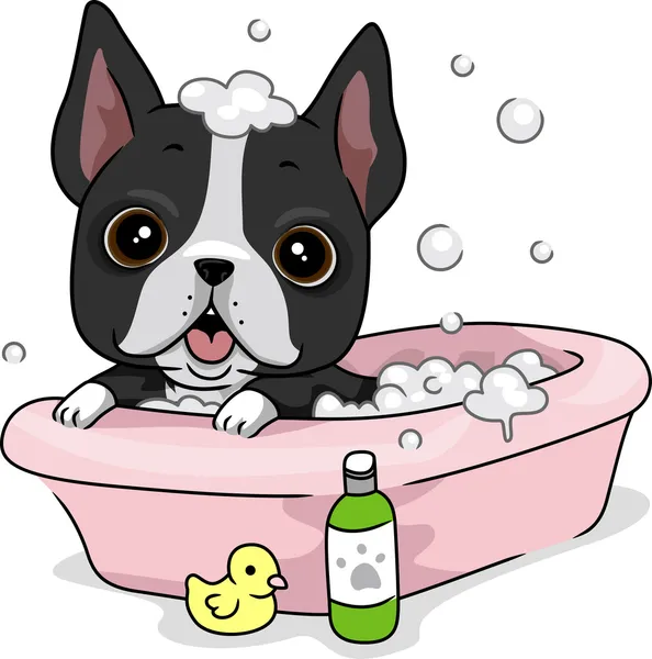 Baño para perros —  Fotos de Stock