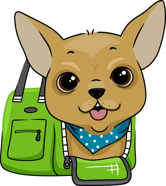 Köpek bir taşıyıcı çanta — Stok fotoğraf