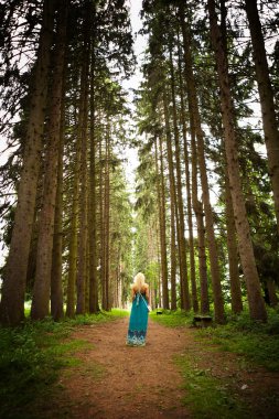 Woman walking in the fir woods clipart