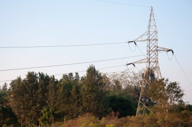 Elektrik İletim kutup