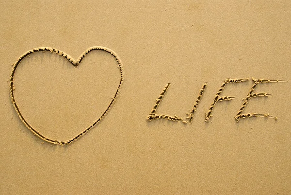 Love life — Stock Photo, Image