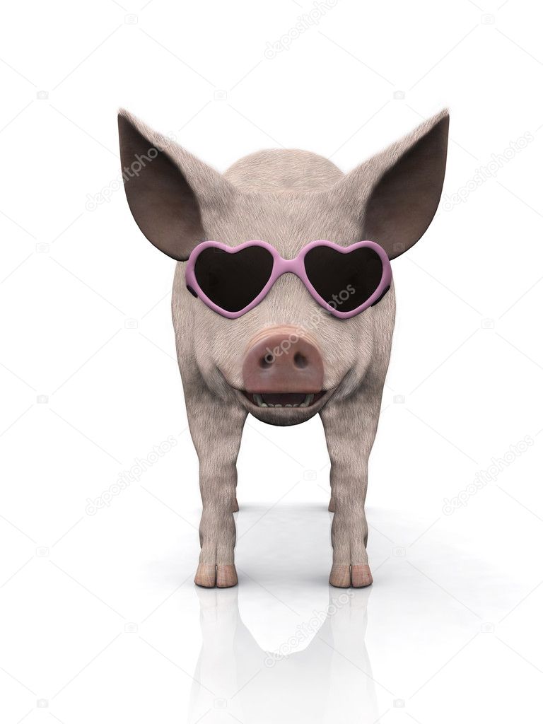 Cool piglet wearing sunglasses.