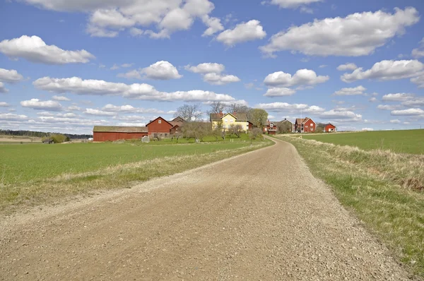 stock image Road in spring