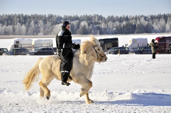 Carrera de caballos islandés en invierno — Foto de Stock