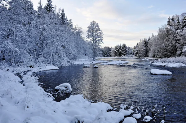 Río escénico en invierno —  Fotos de Stock