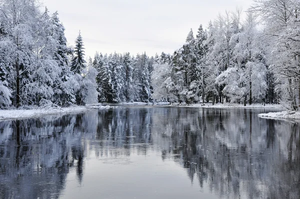 Fiume panoramico in inverno — Foto Stock