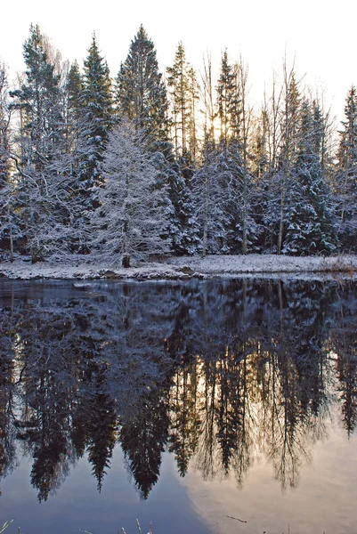 Řeka v zimě Stock Fotografie