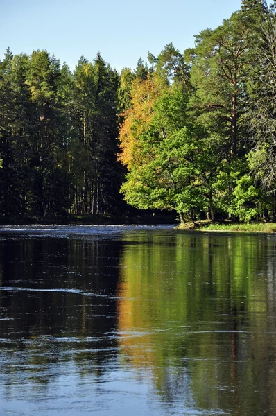Reflejo tranquilo lago — Foto de Stock