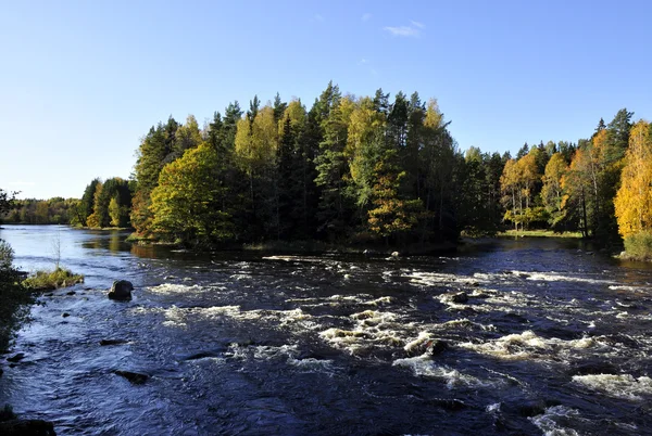Řeka ve Švédsku — Stock fotografie