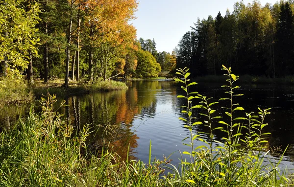 Klidné jezero reflexe — Stock fotografie