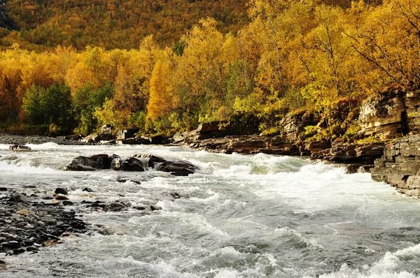 River in autumn — Zdjęcie stockowe