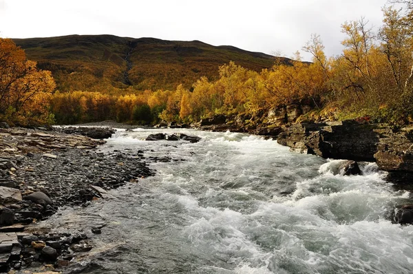 Ποταμός το φθινόπωρο — Φωτογραφία Αρχείου